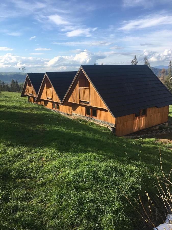 Domek Na Skarpce Закопане Екстериор снимка